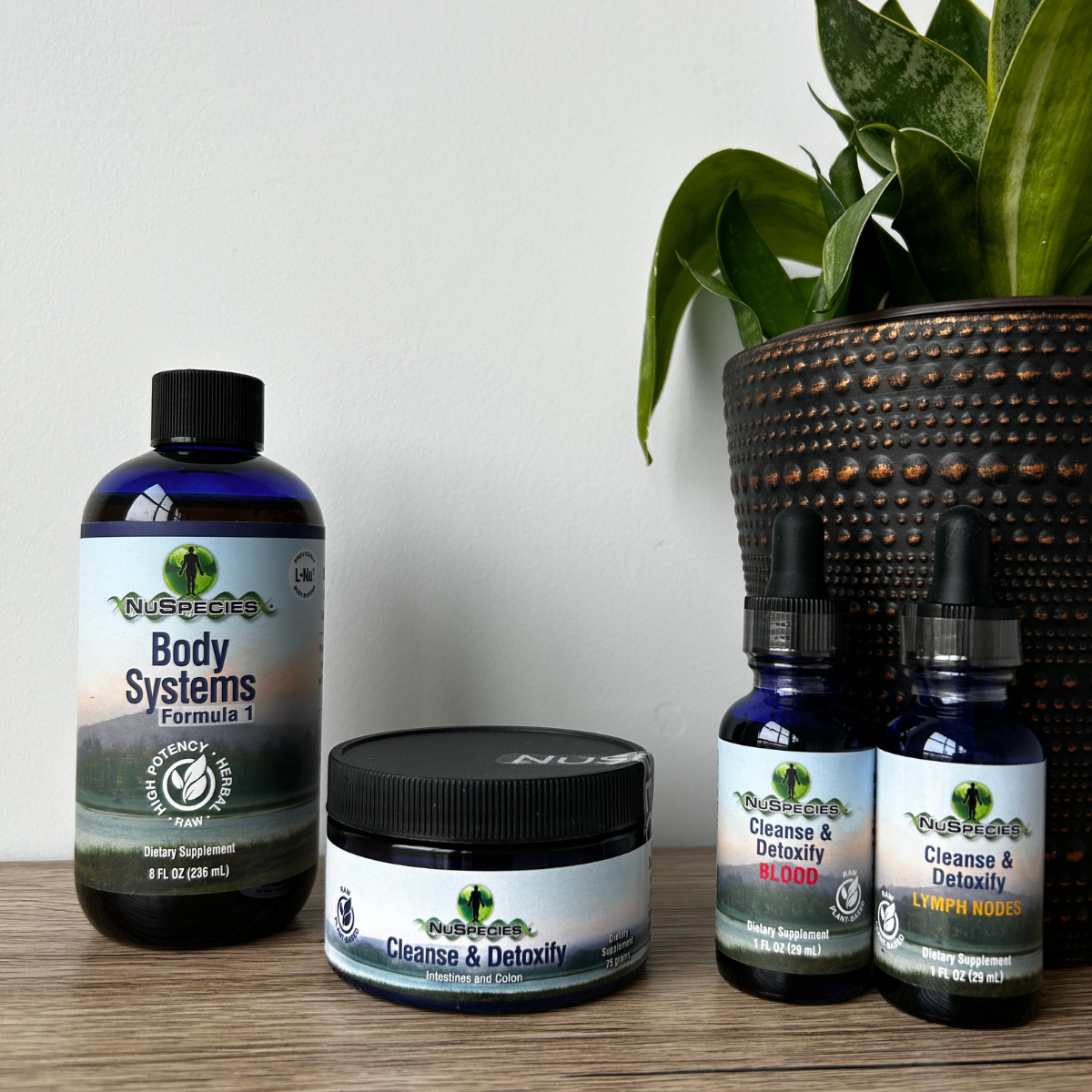 Cleanse & Rebuild Starter