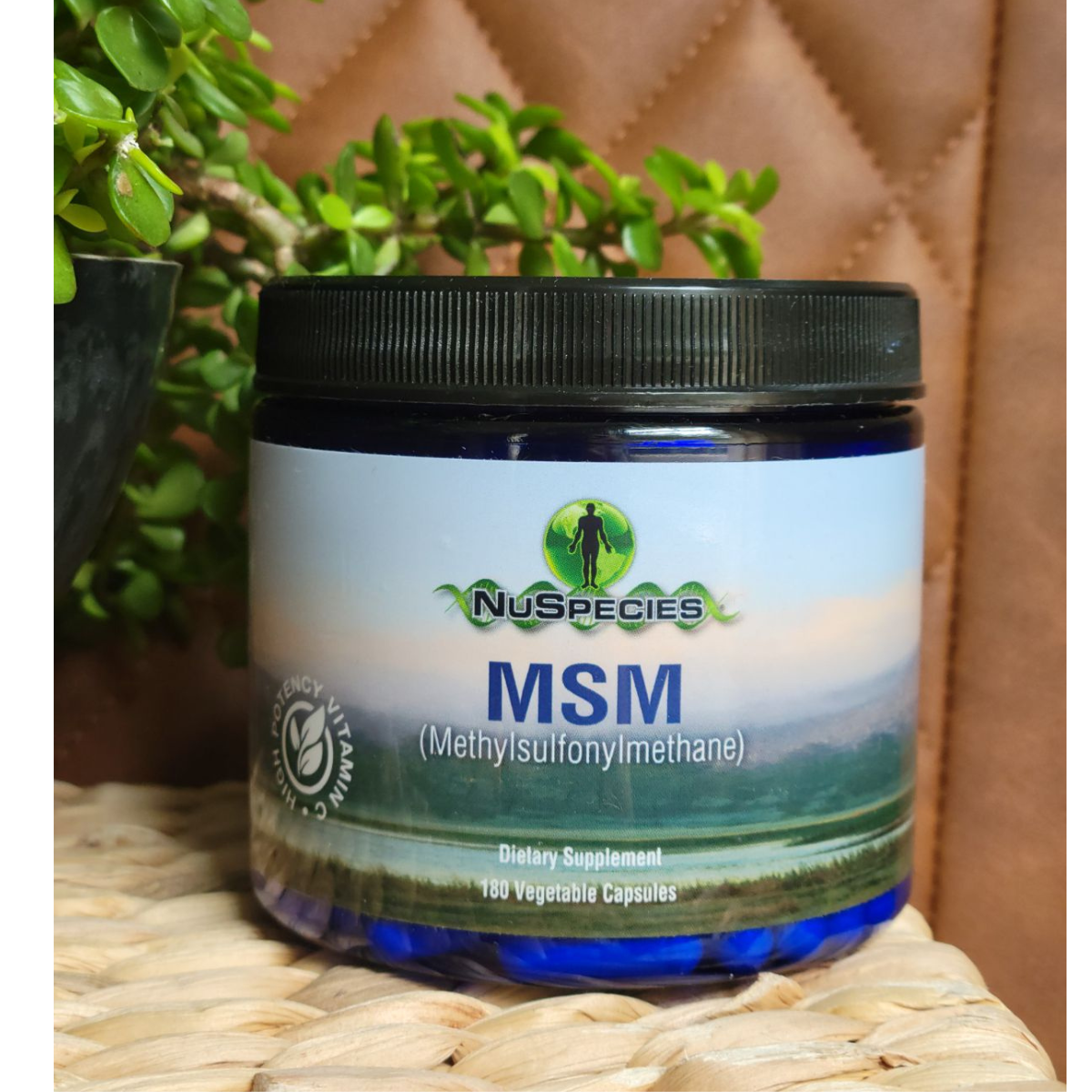 MSM Capsules